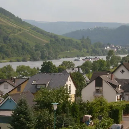 Moselblick Sankt Aldegund