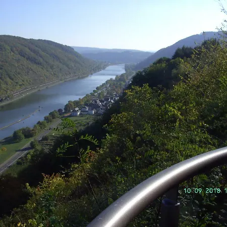 Moselblick