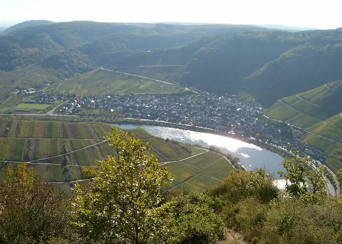 Moselblick Διαμέρισμα *