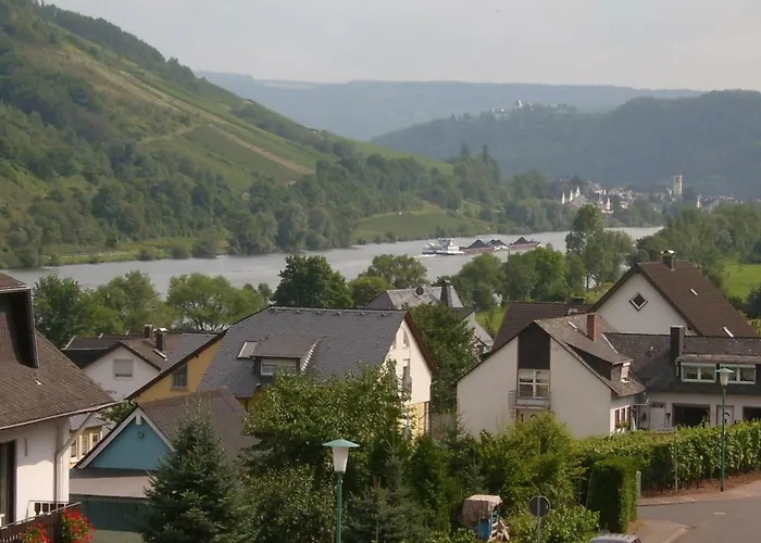 Moselblick Sankt Aldegund